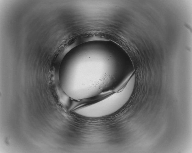 X0000096220750200802011343