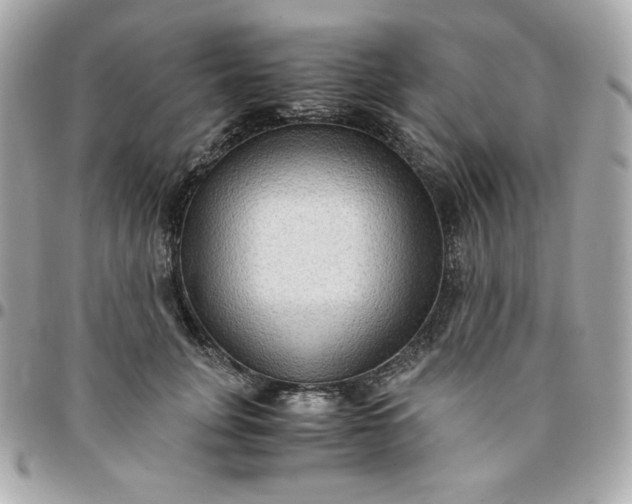 X0000096220751200802011343