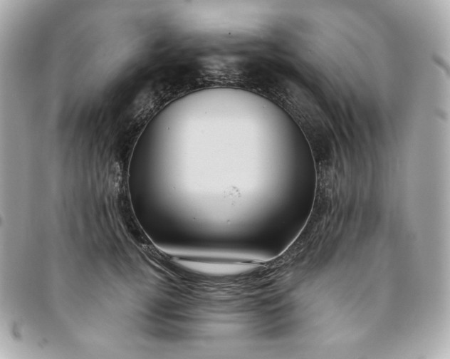 X0000096220752200802011343