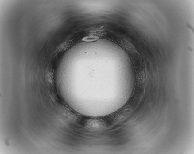 X0000096220755200802011343