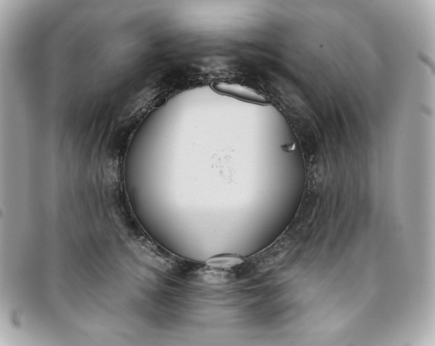 X0000096220756200802011343