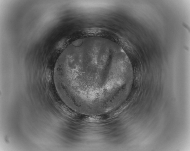 X0000096220758200802011343