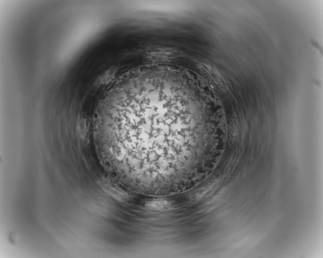 X0000096220759200802011343