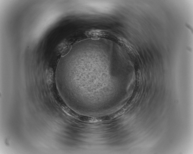 X0000096220760200802011343