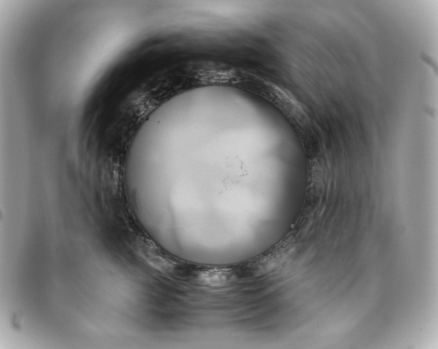 X0000096220761200802011343