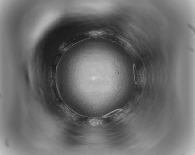 X0000096220762200802011343