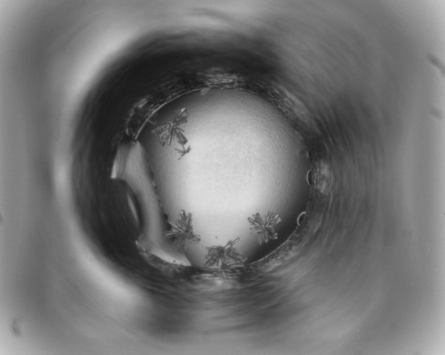 X0000096220763200802011343