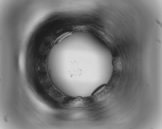 X0000096220764200802011343