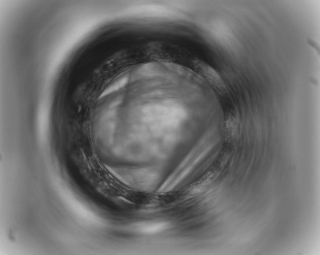 X0000096220765200802011343