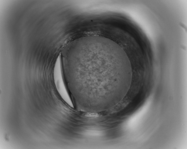 X0000096220767200802011343