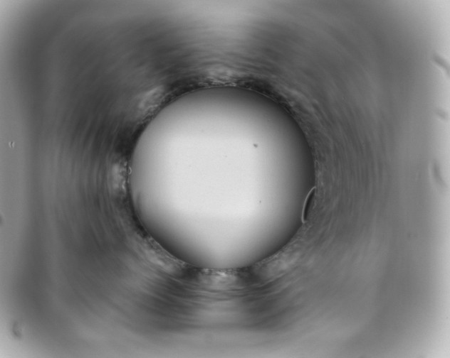 X0000096220768200802011343