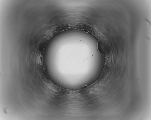 X0000096220770200802011342