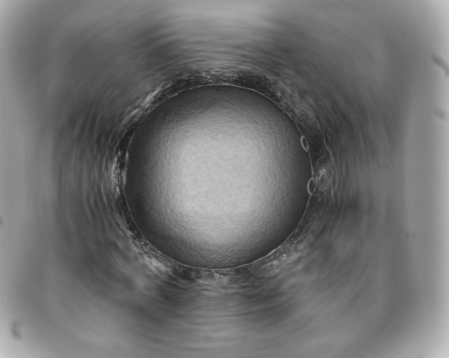 X0000096220772200802011342