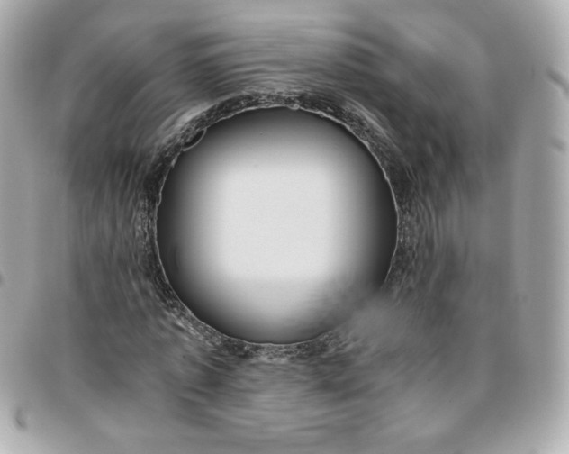 X0000096220773200802011342