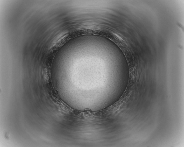 X0000096220774200802011342