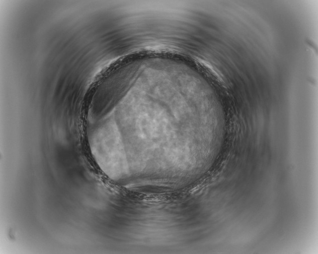 X0000096220776200802011342