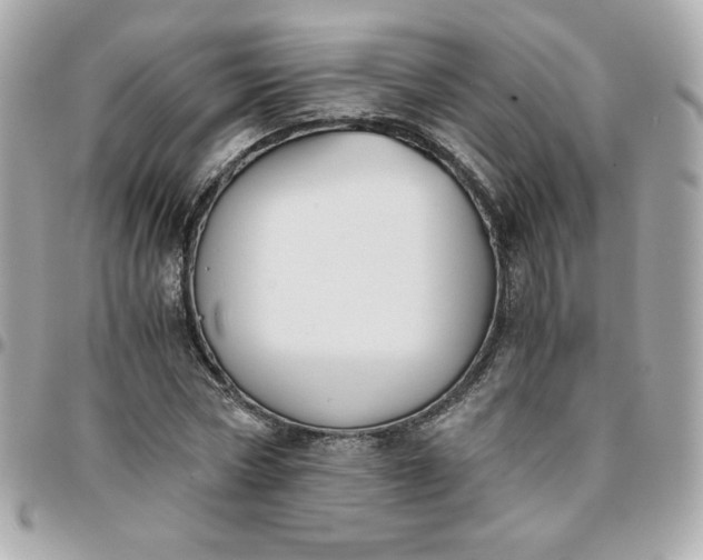 X0000096220778200802011342