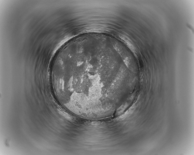 X0000096220779200802011342