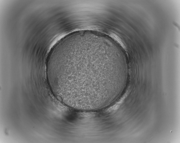 X0000096220781200802011342