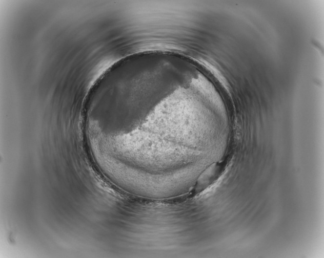 X0000096220783200802011342