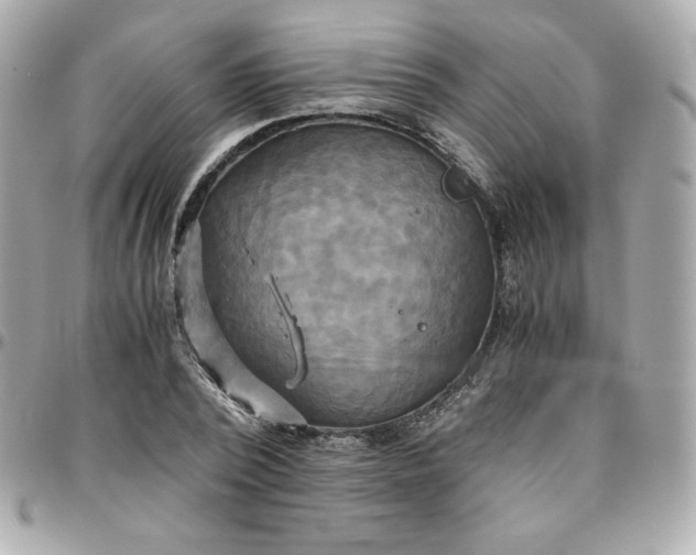 X0000096220784200802011342