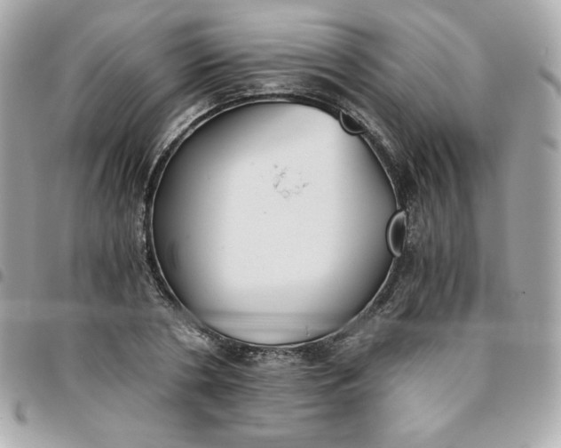 X0000096220786200802011342