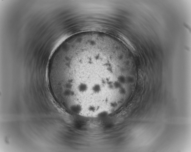 X0000096220788200802011342