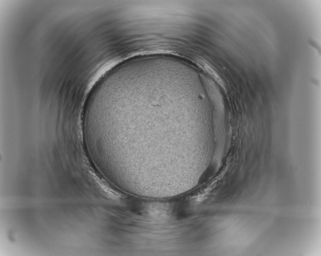 X0000096220789200802011342