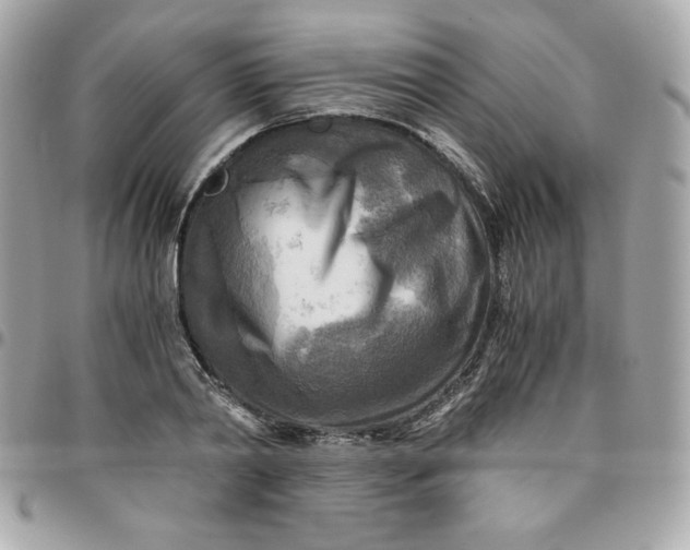 X0000096220790200802011342