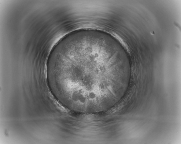 X0000096220791200802011342