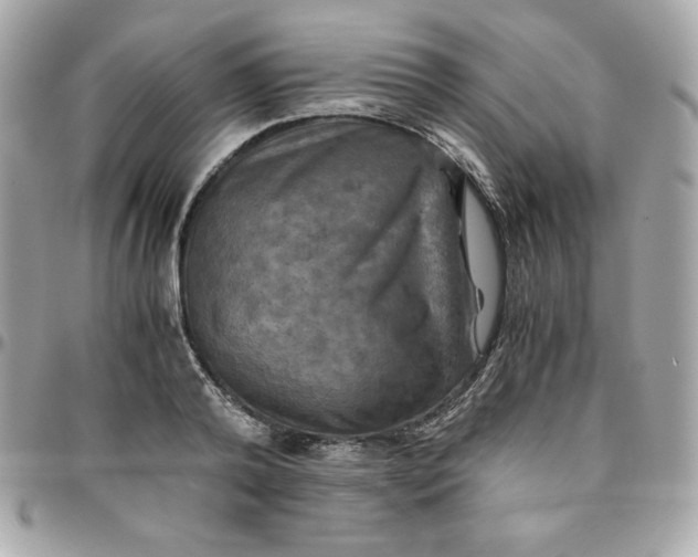 X0000096220792200802011342