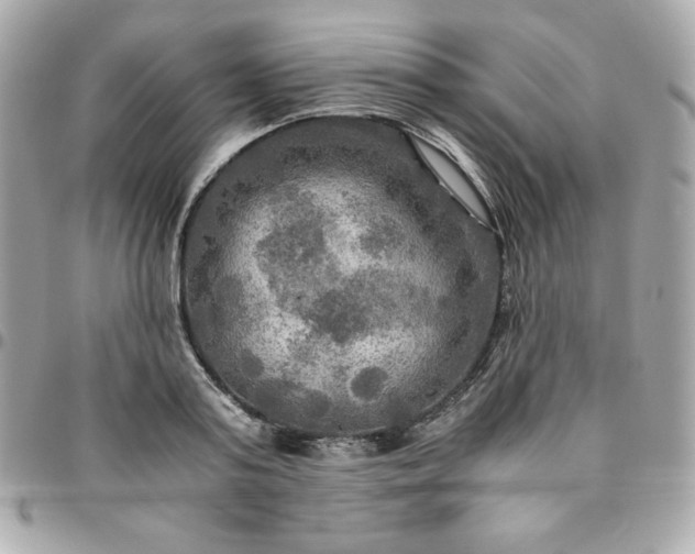 X0000096220795200802011342