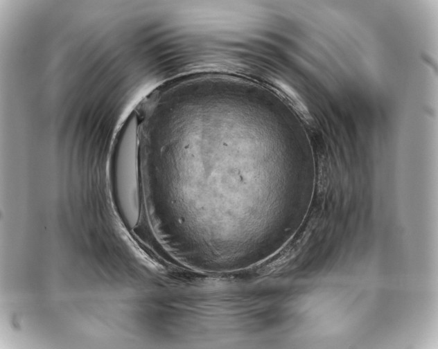 X0000096220796200802011342