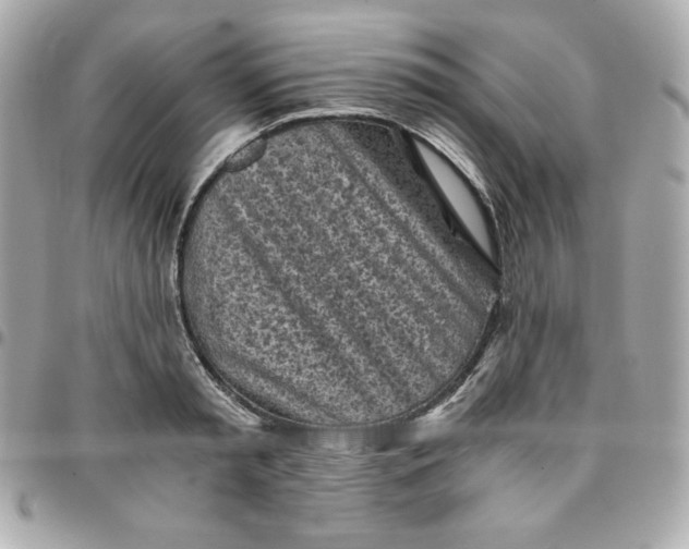 X0000096220797200802011342