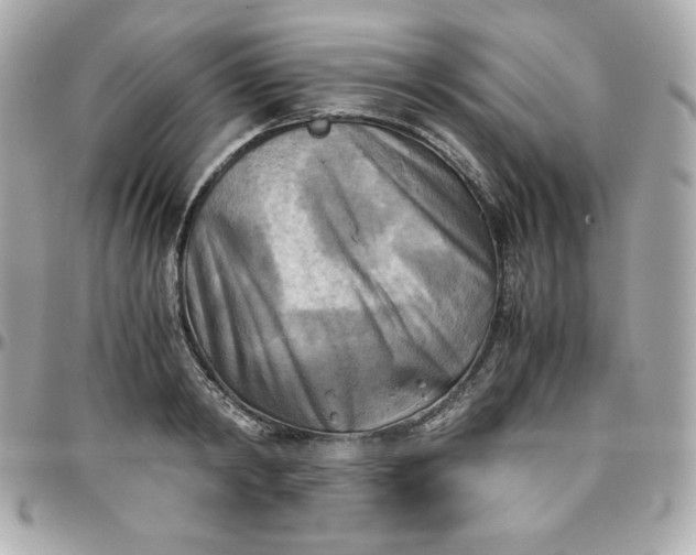 X0000096220798200802011342