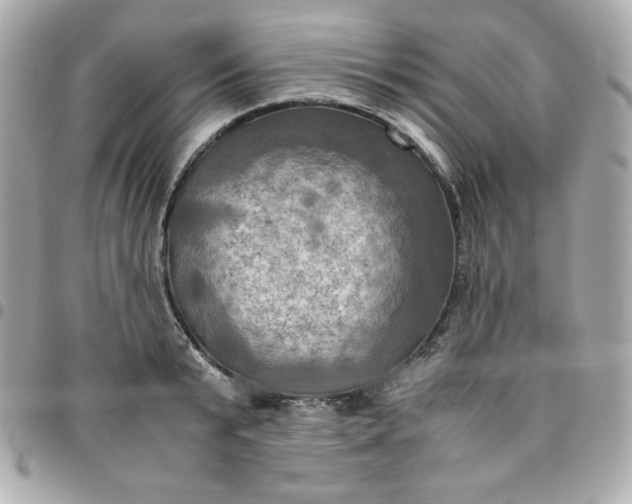 X0000096220799200802011342