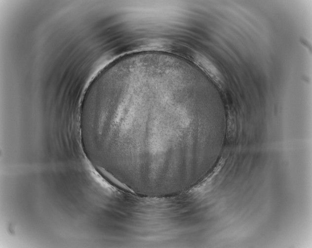 X0000096220800200802011342