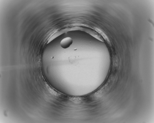 X0000096220801200802011342