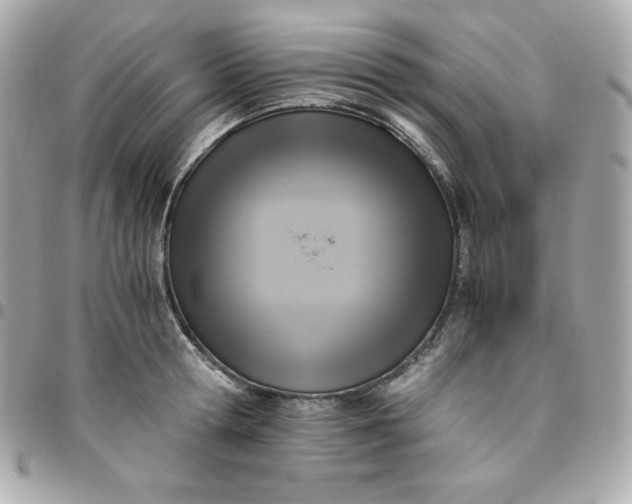 X0000096220802200802011342