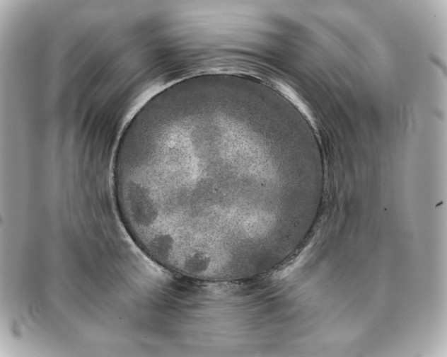 X0000096220803200802011342