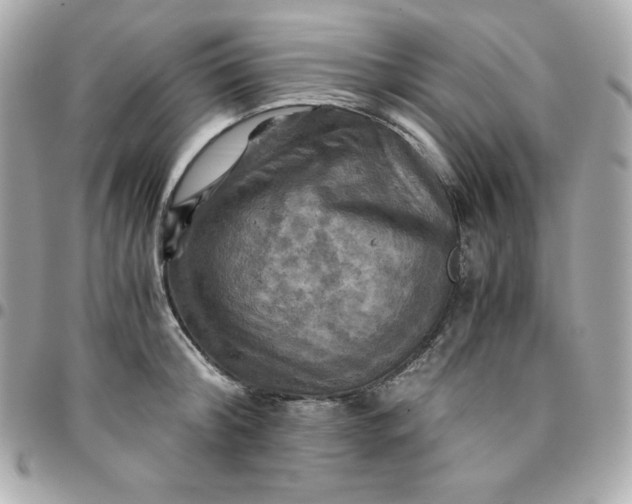 X0000096220804200802011342