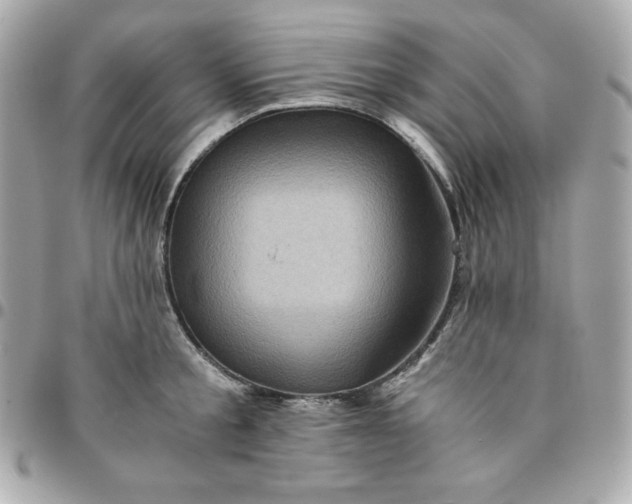 X0000096220805200802011342