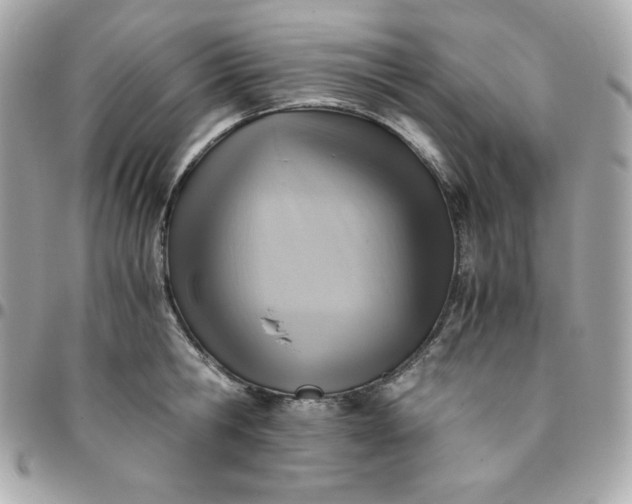 X0000096220806200802011342