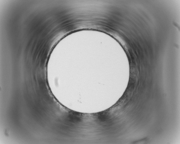 X0000096220807200802011342