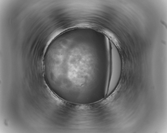 X0000096220808200802011342