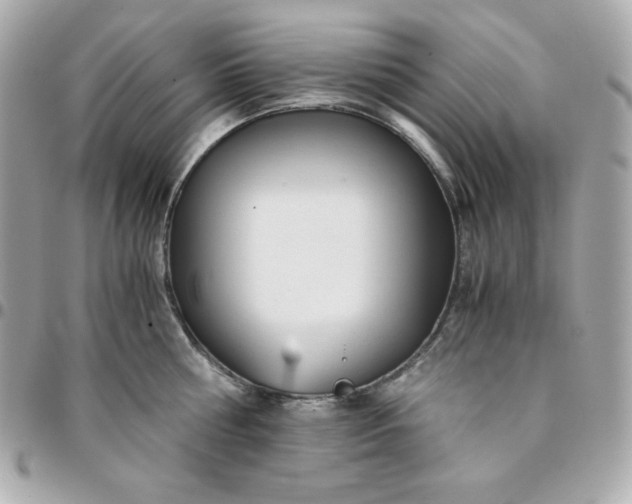 X0000096220810200802011342