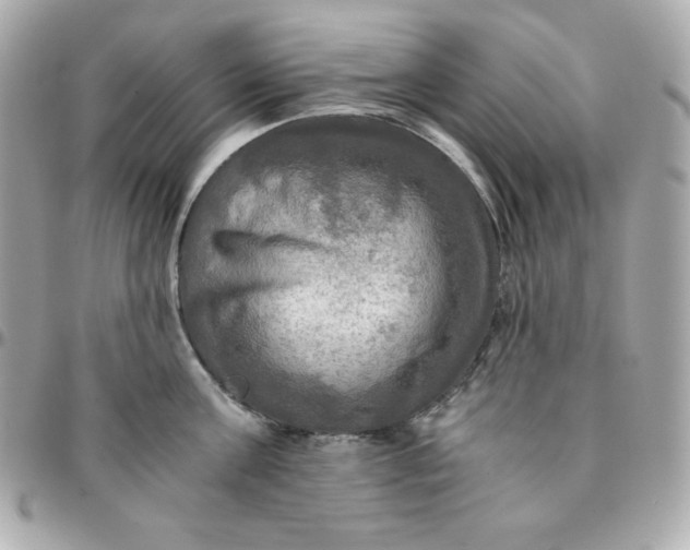 X0000096220811200802011342