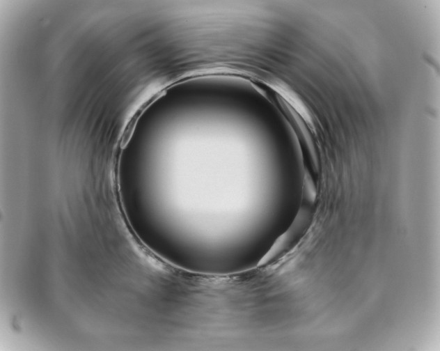 X0000096220813200802011342