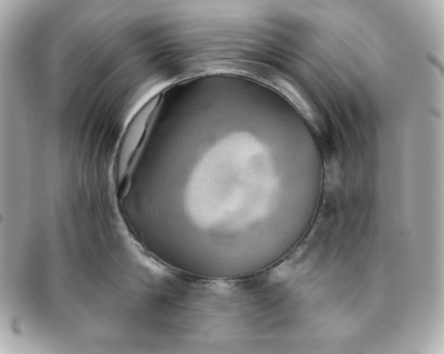 X0000096220814200802011342