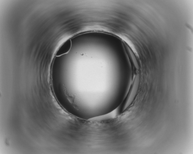 X0000096220815200802011342